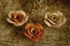 R�ucherst�bchenhalter Rose 