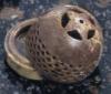 Specksteind�schen Stern 