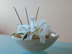 R�ucherschalenduo Lotus 